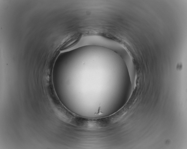 X0000096170264200802011325