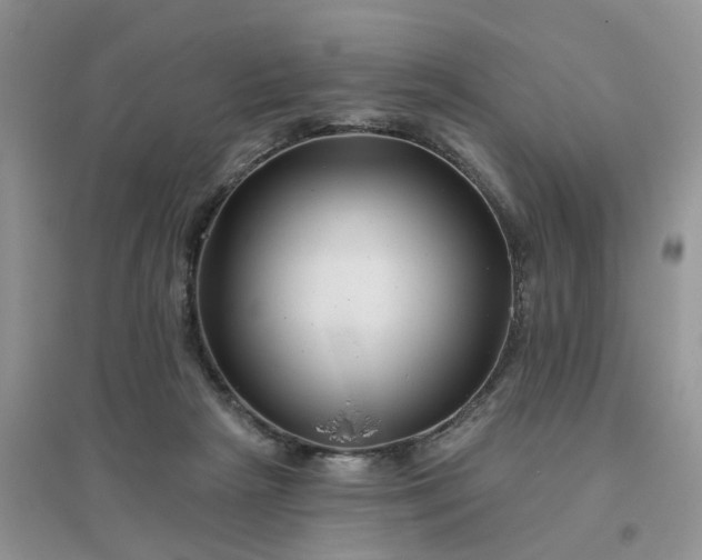 X0000096170265200802011325