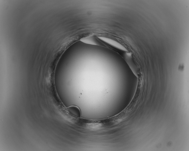 X0000096170266200802011325