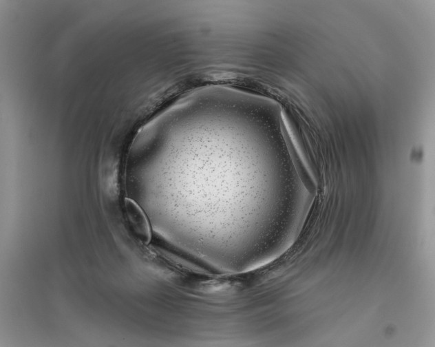 X0000096170267200802011325