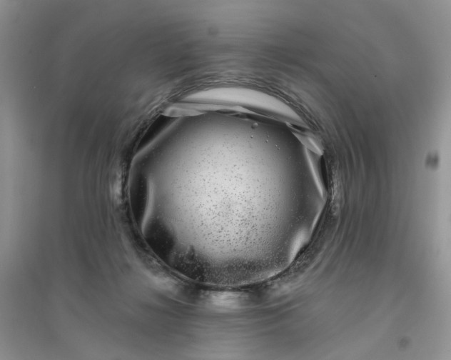 X0000096170268200802011325