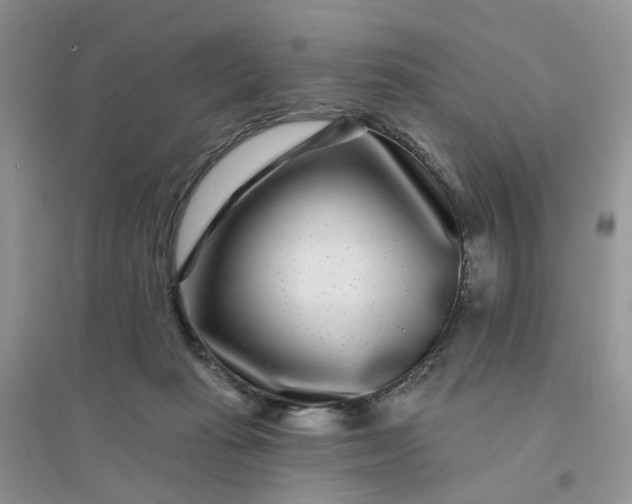 X0000096170269200802011325