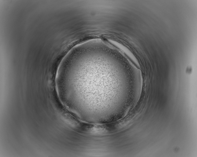 X0000096170270200802011325