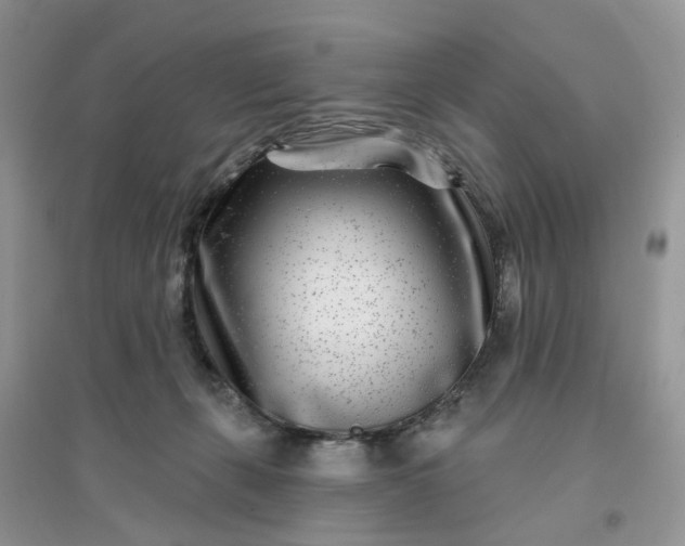 X0000096170271200802011325