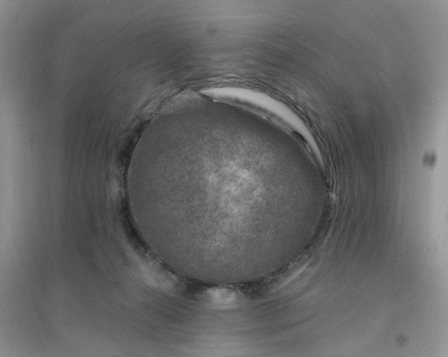 X0000096170272200802011325