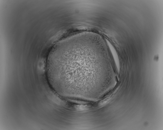 X0000096170273200802011325