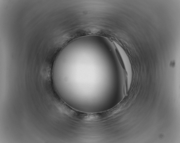 X0000096170274200802011325