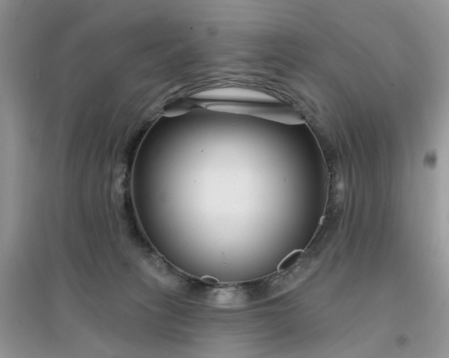 X0000096170275200802011325