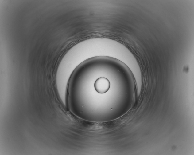 X0000096170276200802011325