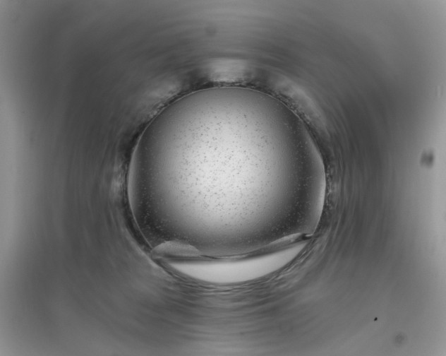 X0000096170277200802011325