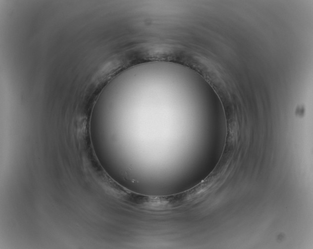 X0000096170278200802011325