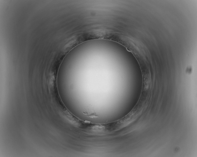 X0000096170279200802011326