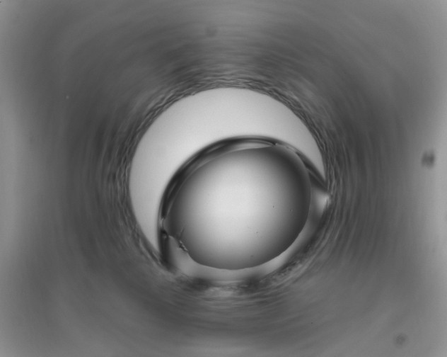 X0000096170280200802011326