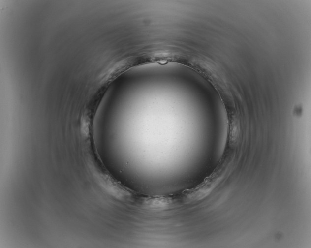 X0000096170282200802011326