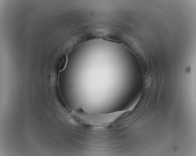 X0000096170283200802011326