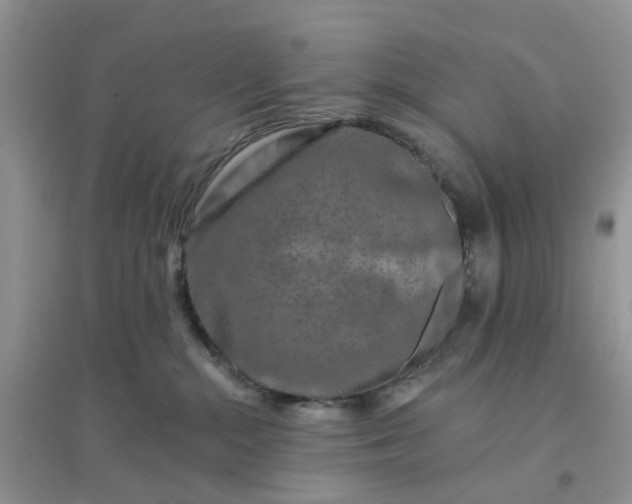 X0000096170284200802011326