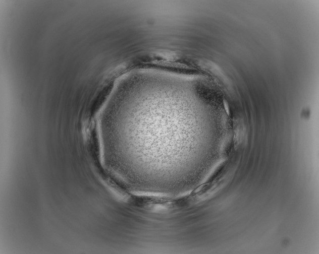 X0000096170285200802011326