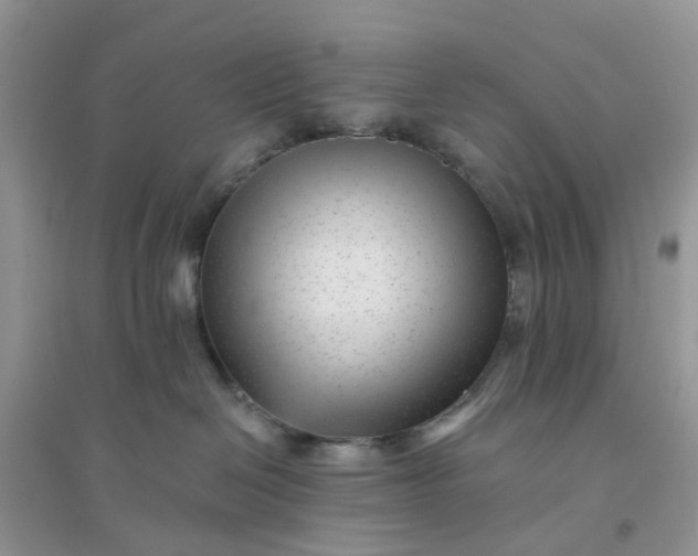 X0000096170286200802011326