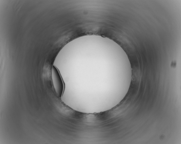 X0000096170287200802011326