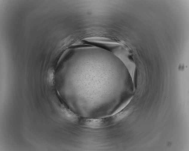 X0000096170288200802011326