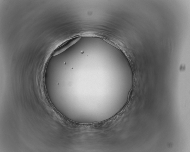 X0000096170289200802011325