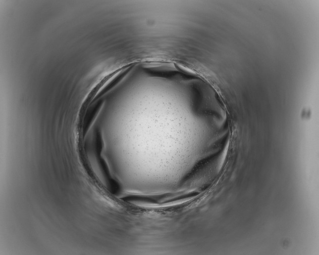 X0000096170290200802011325