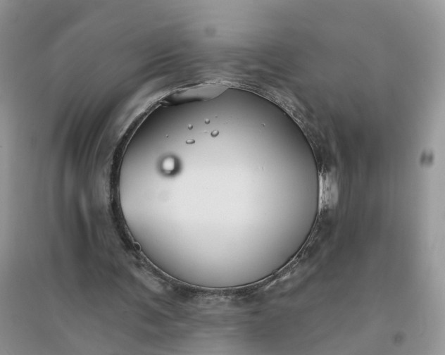 X0000096170291200802011325