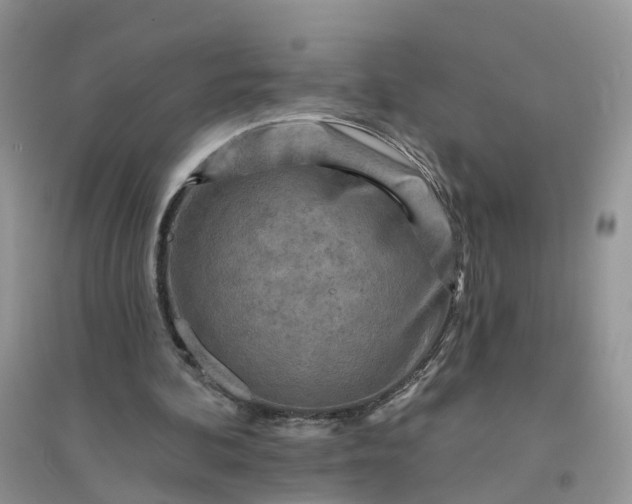 X0000096170292200802011325