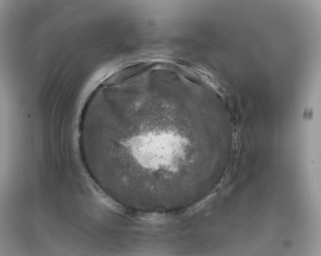 X0000096170293200802011325