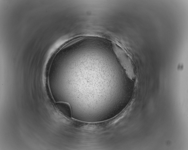 X0000096170294200802011325