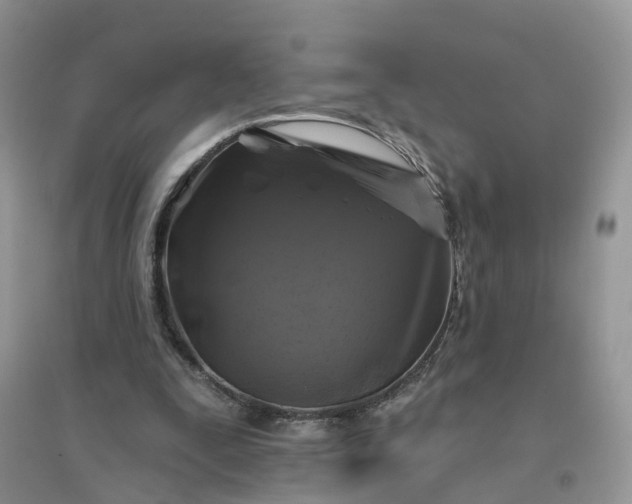 X0000096170295200802011325