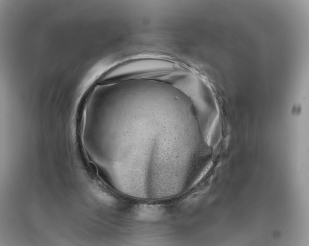 X0000096170296200802011325