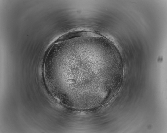 X0000096170297200802011325