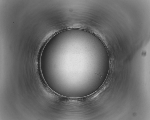 X0000096170298200802011325