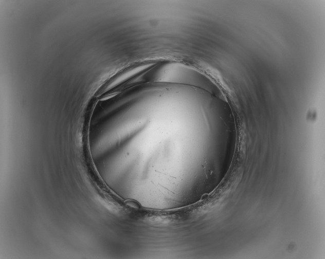 X0000096170299200802011325