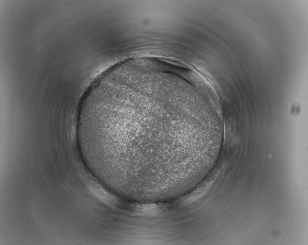 X0000096170301200802011325