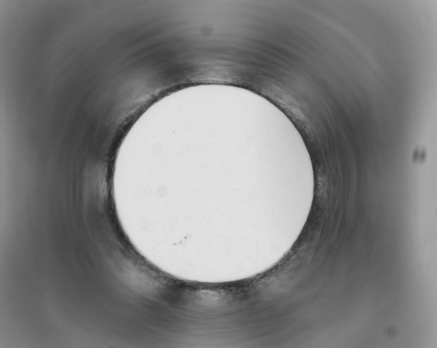 X0000096170302200802011325