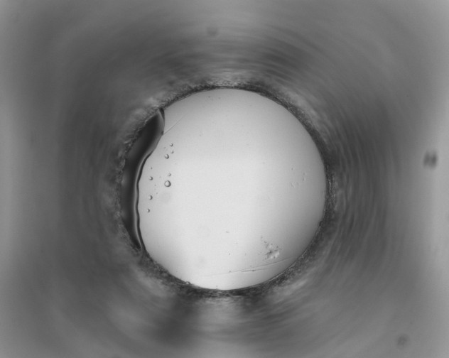 X0000096170307200802011325