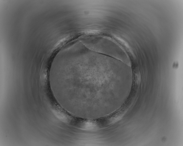 X0000096170308200802011325