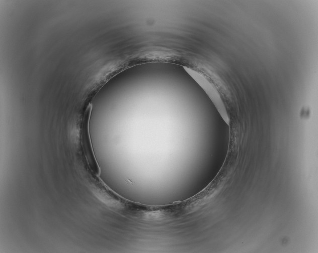 X0000096170309200802011325