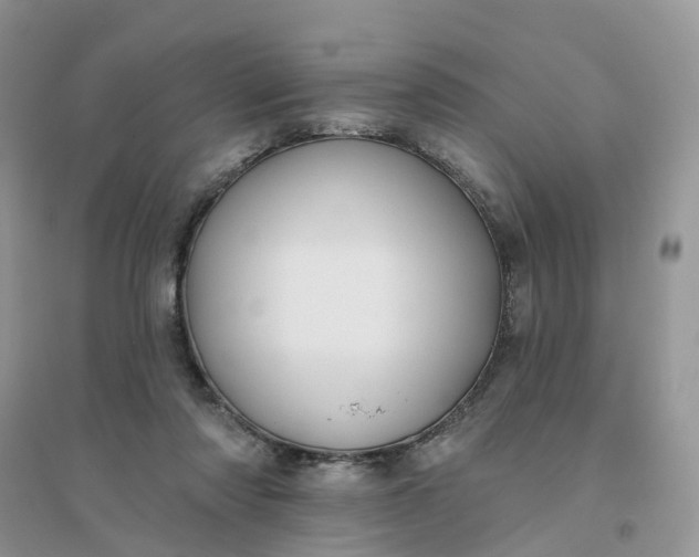 X0000096170310200802011325