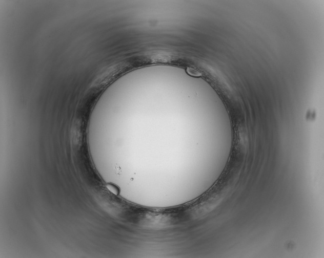 X0000096170311200802011324