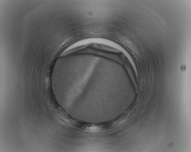 X0000096170312200802011324