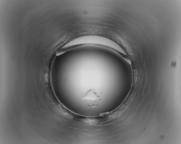 X0000096170313200802011324