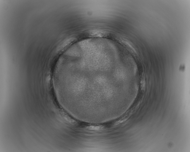 X0000096170314200802011324