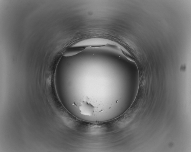 X0000096170315200802011324