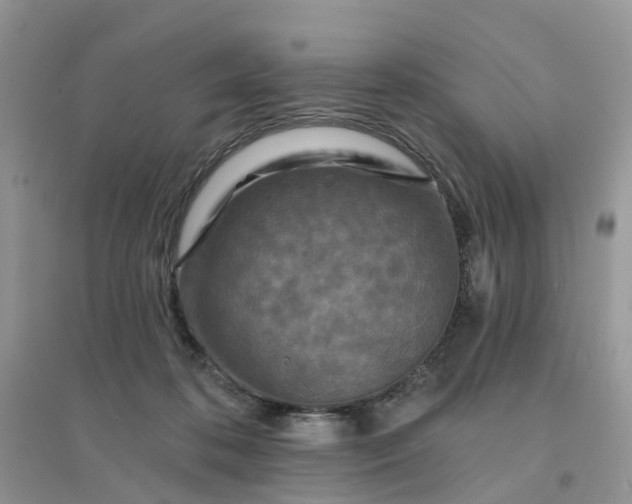 X0000096170316200802011324