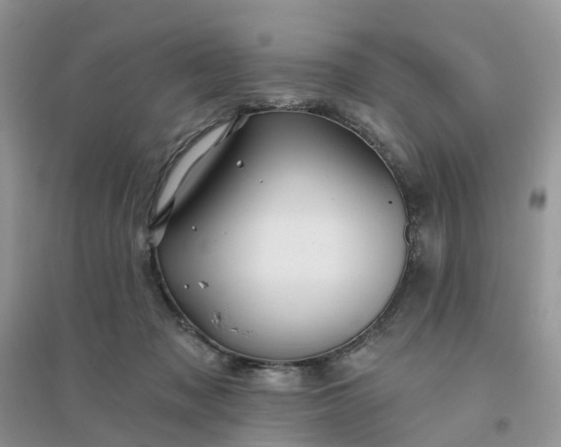 X0000096170317200802011324