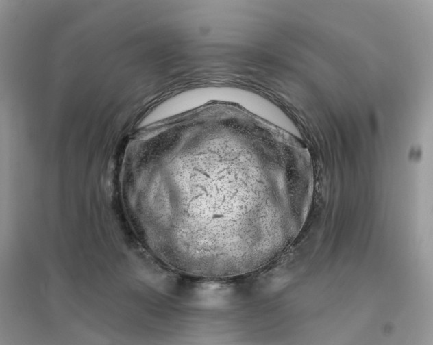 X0000096170319200802011324