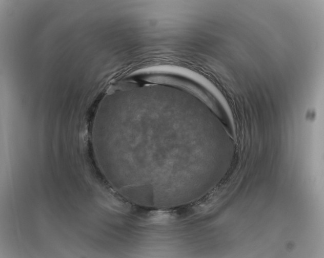 X0000096170320200802011324